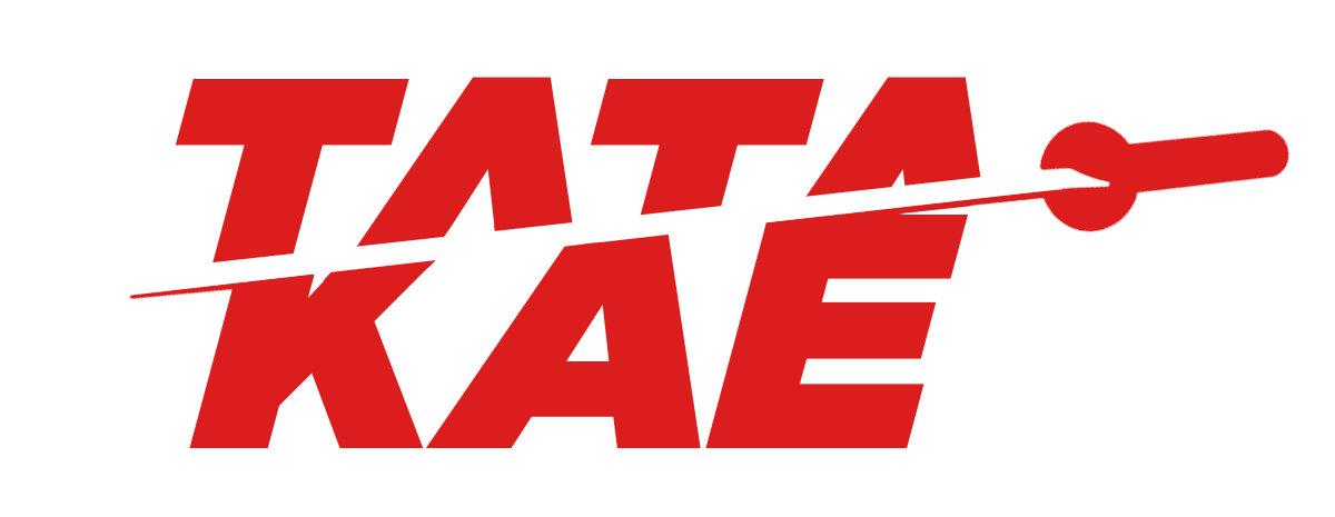 TATAKAE